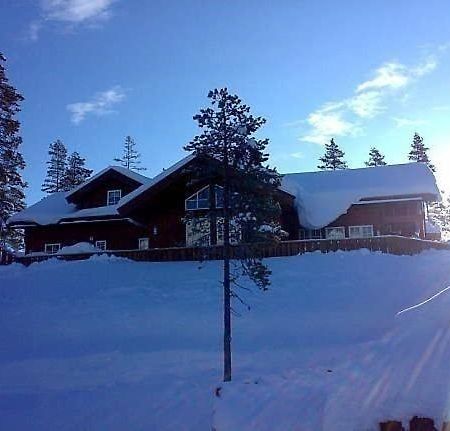 Flott Utleiehytte Pa Gautefall Treungen Esterno foto